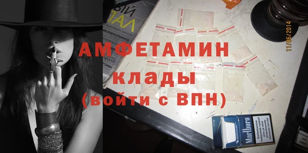 крисы Вязьма