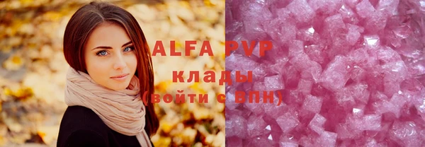 крисы Вязьма