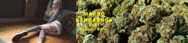 крисы Вязьма