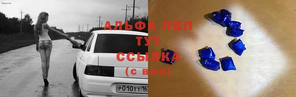 крисы Вязьма