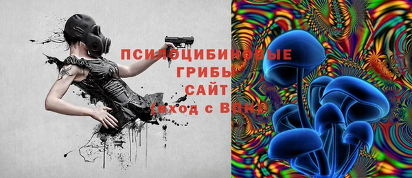 ALPHA-PVP Вяземский