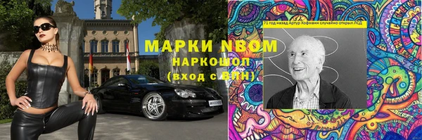 крисы Вязьма