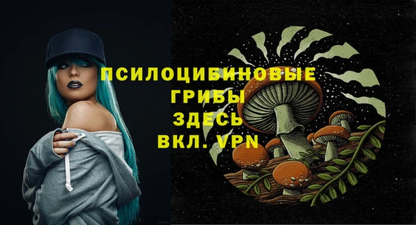 ALPHA-PVP Вяземский