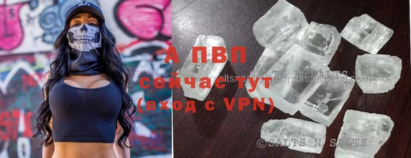 крисы Вязьма