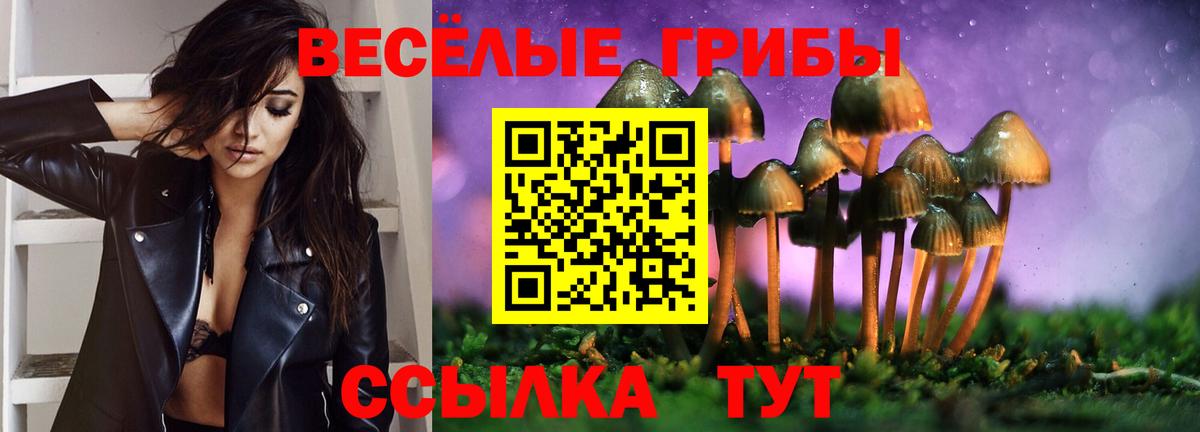 Ковров  Галлюциногенные грибы Psilocybe  Галлюциногенные грибы Psilocybine cubensis  Вход с VPN 